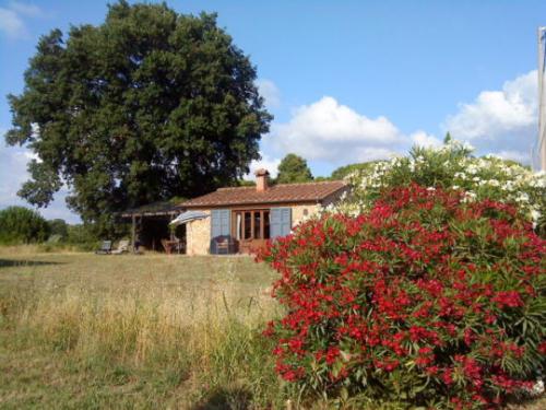 PoderinoPoggettoGrundstück