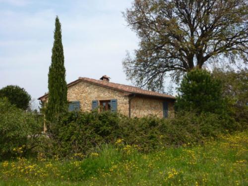 PoderinoPoggettoVorderansichtSeite