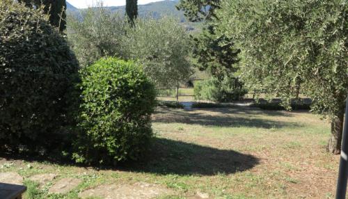 App 5-7 Blick Garten 700x400