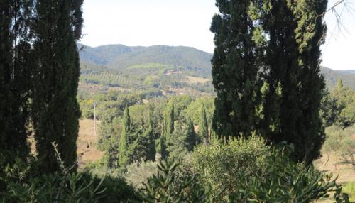 App 5-7 Blick Landschaft 700x400