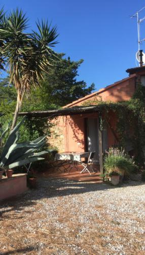 App Blu Vorderansicht 700x400