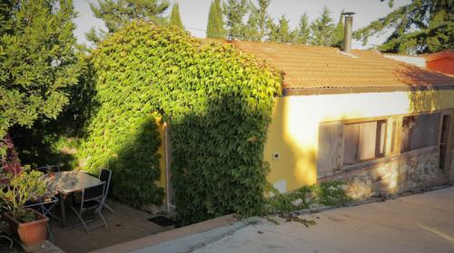 App Giallo Aussenansicht 700x400