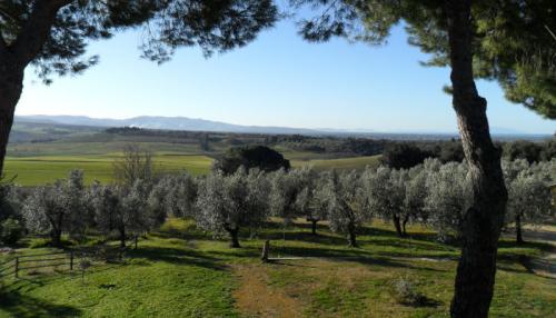 App Grün Ansicht 700x400