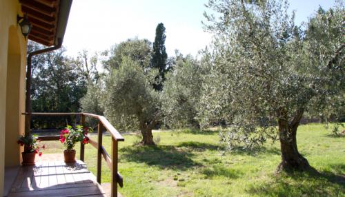 App. Gelb Eingang 700x400