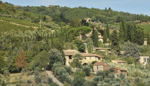 Donatino Beitragsbild 700x400