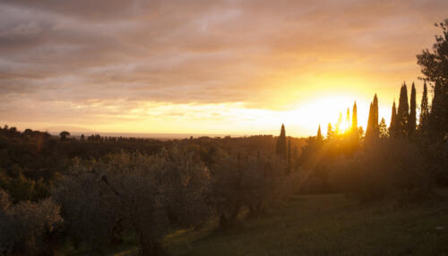 Sonnenuntergang 700x400