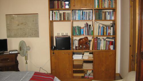 Viola Bücherwand 700x400