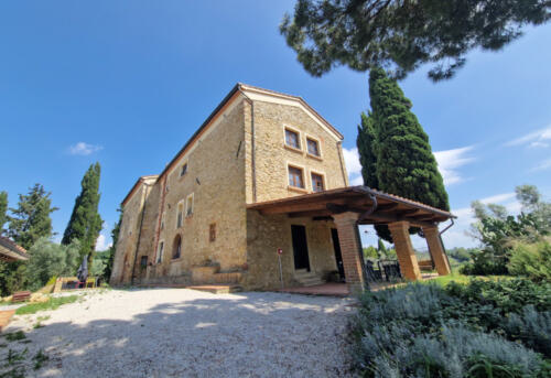 aimassi1