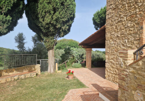 aimassi11